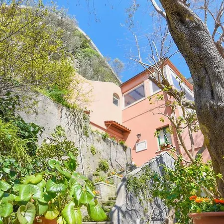 Maria Antonietta Positano